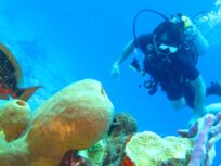 Buceo Isla Catalina - Tours / Excursiones - Stay Happy RD