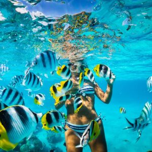 Snorkel Isla Catalina - Tours / Excursiones - Stay Happy RD