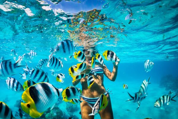 Snorkeling Catalina Island - Tours / Excursions - Stay Happy RD