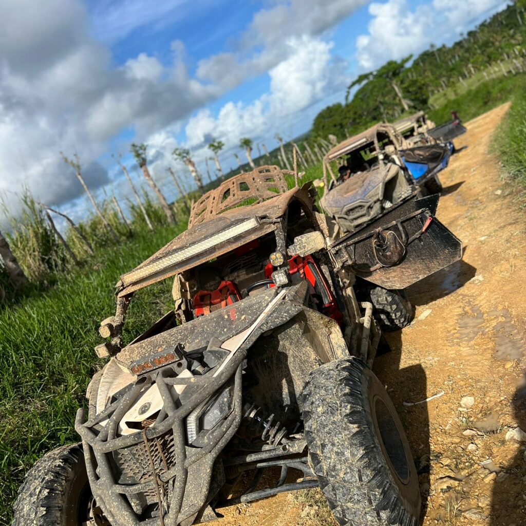 some buggys in a farm