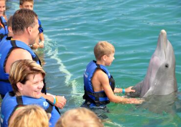 a group of people with a dolphin with a dolphin