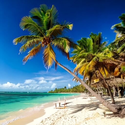 AI image of the dominicus beach with three and a view of the sea